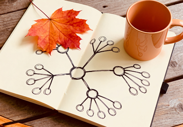 2025年10月10日工作日志：秋日晨光中的耕耘与积累