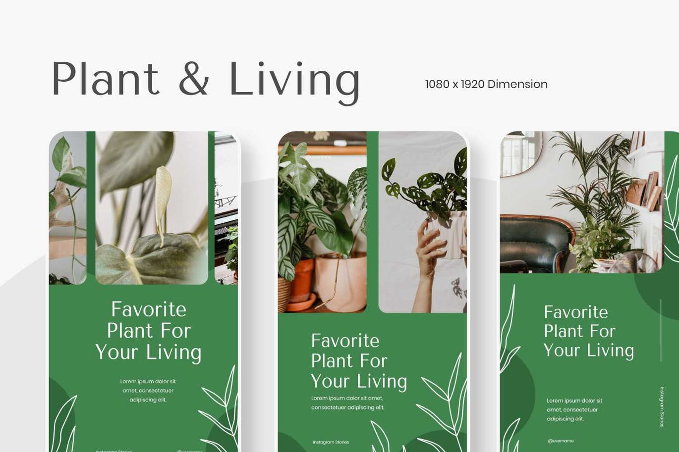 网络推广全攻略：从SEO优化到多模态内容营销的实战技巧