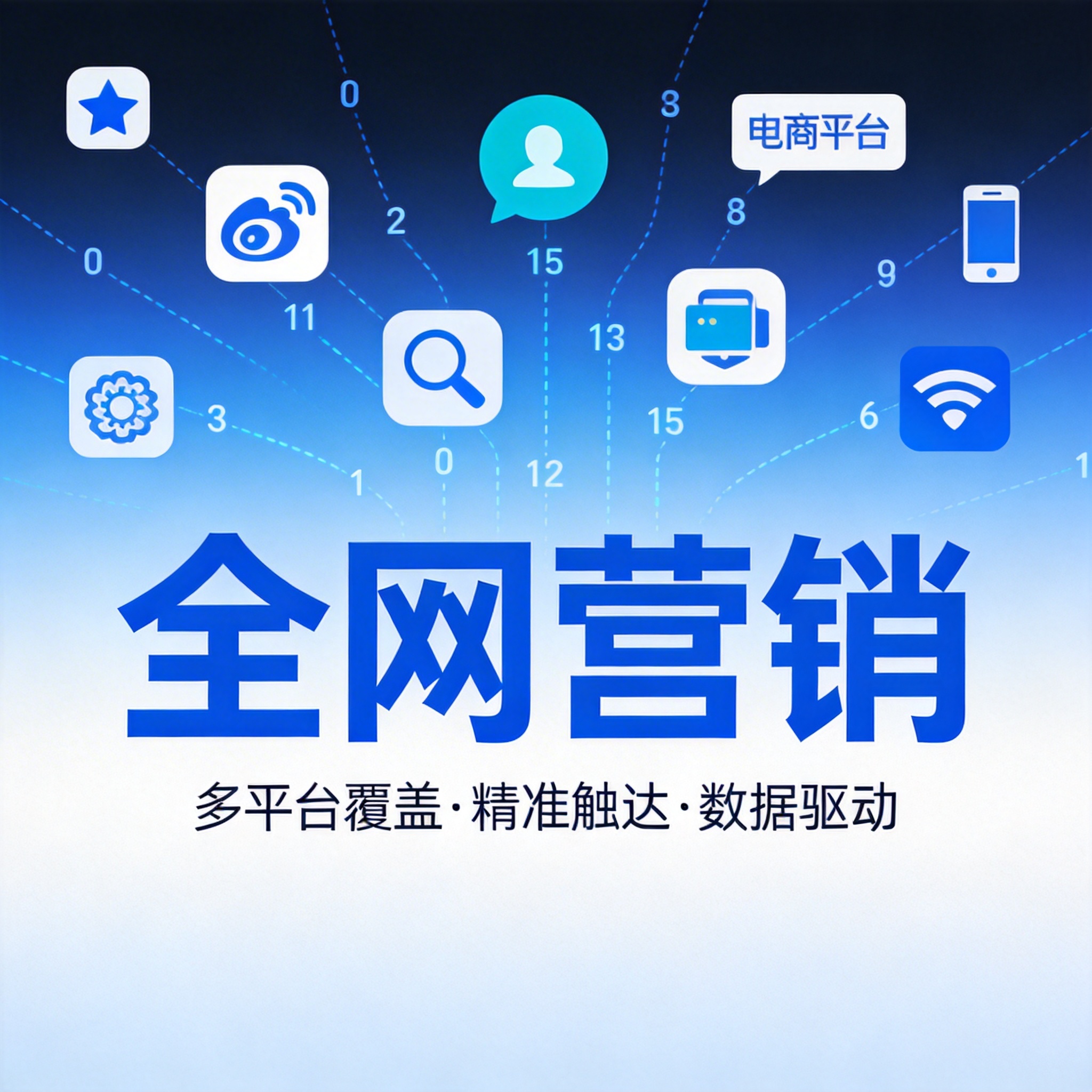 从流量获取看全网营销价值：电商实战案例解析